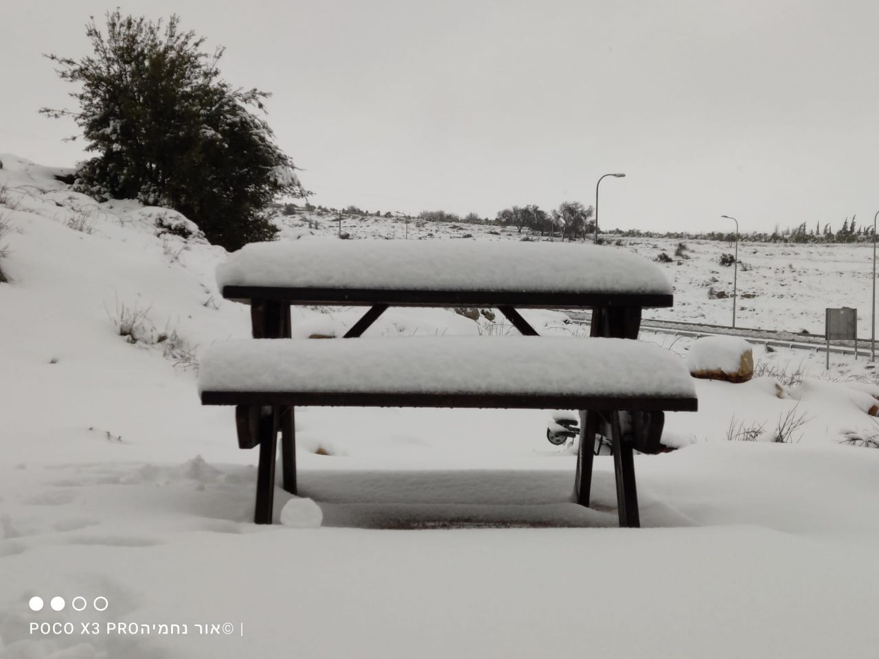 (צילום: אור נחמיה אהרונוב)